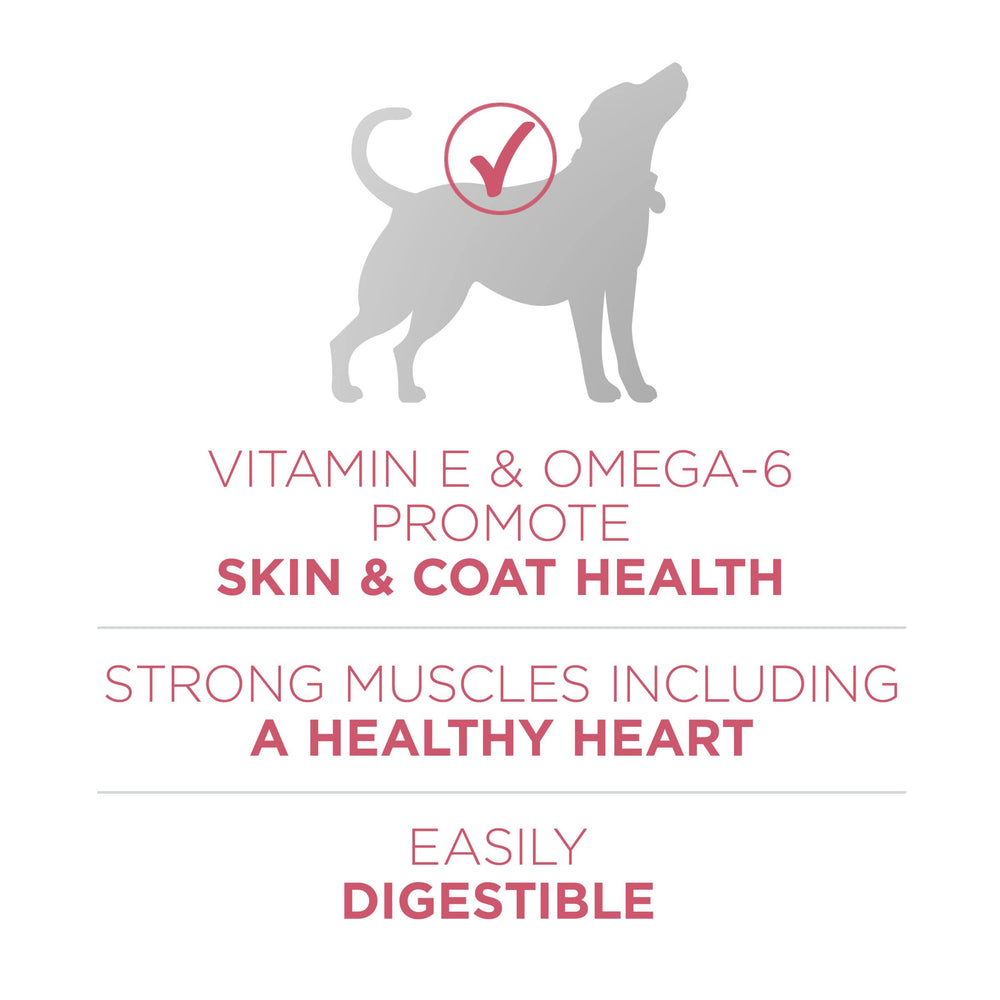 Purina One ingredients choisis riz et avoine: base nutritionnelle équilibrée