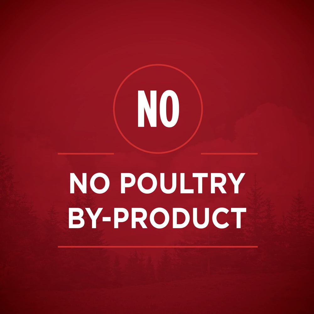Purina ONE ingrédients réels poulet et canard, nutrition ciblée