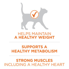 Purina ONE L-carnitine, chat, poids et énergie potentiels.