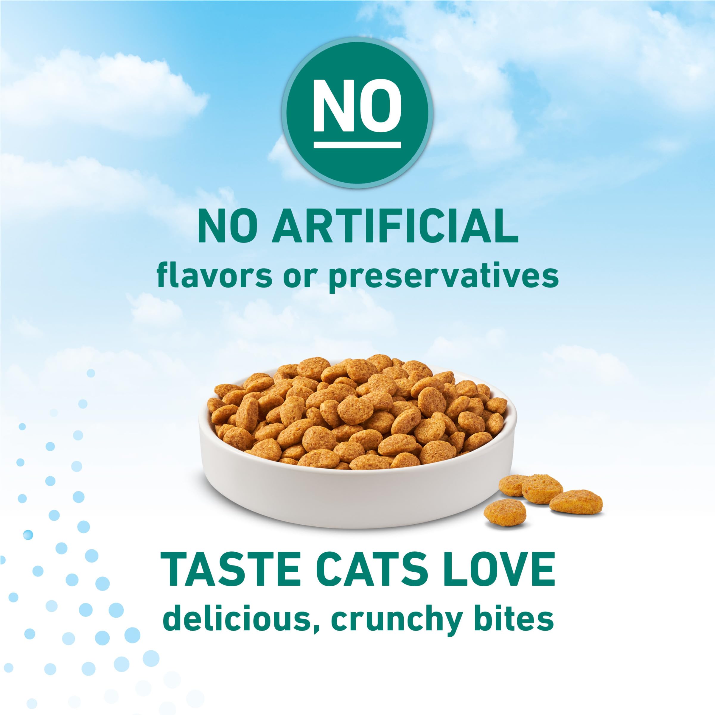 Purina ONE LiveClear usage quotidien simple pour chat adulte.
