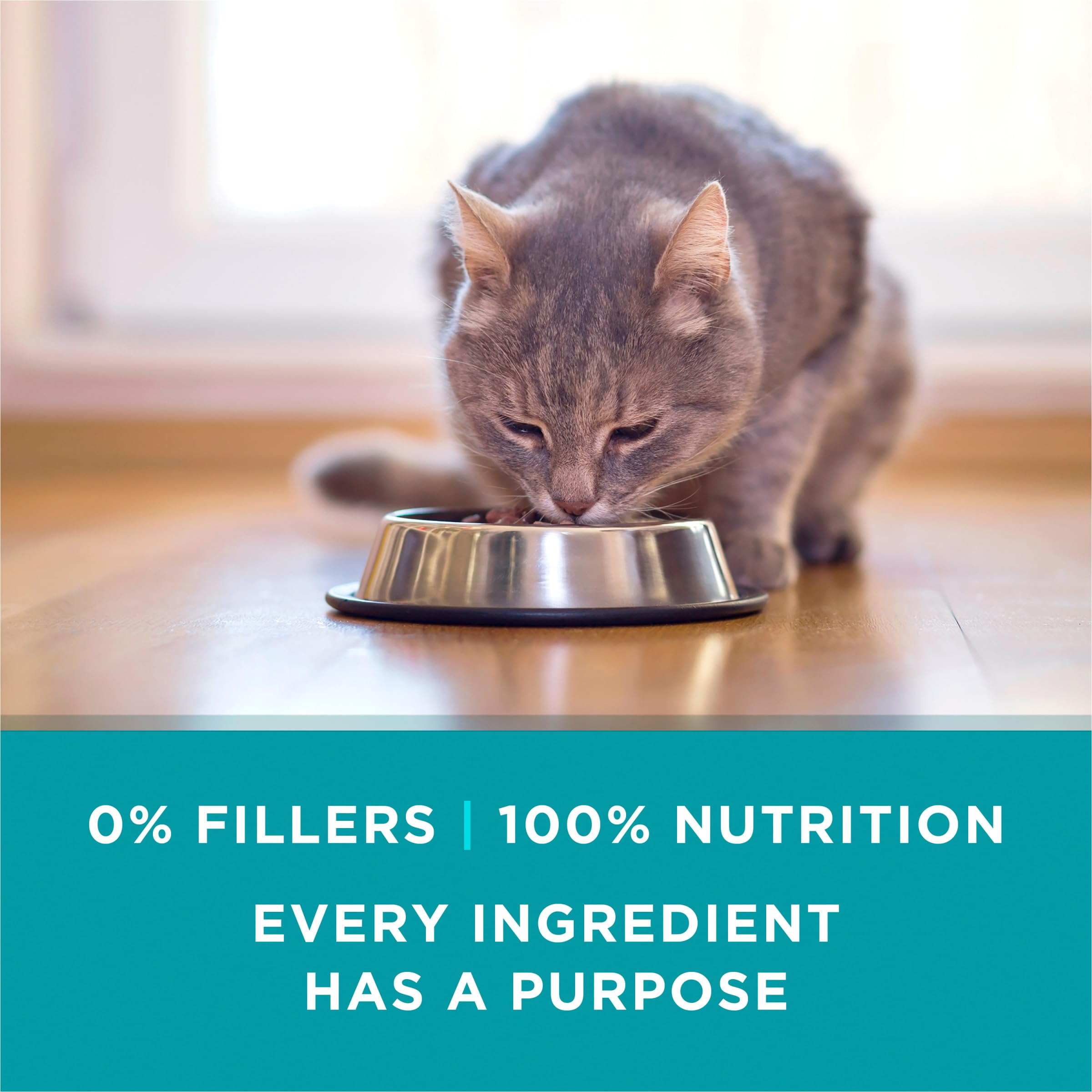 Purina ONE lot 24 boites 85g, solution pratique.
