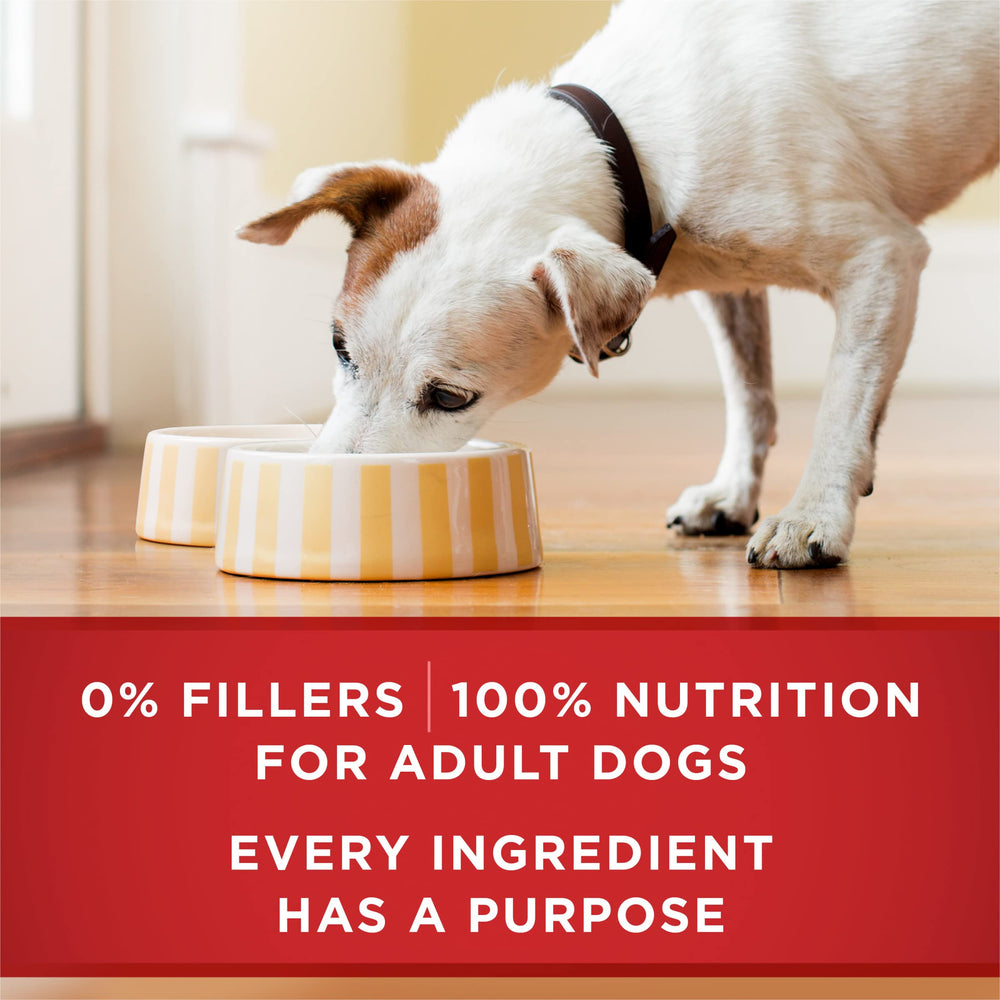 Purina One lot de 12 boites pratique pour l’alimentation quotidienne
