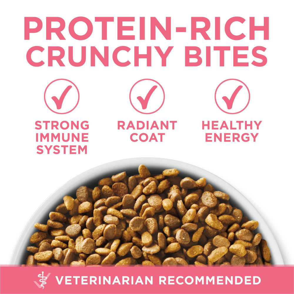 Purina ONE mélange intelligent d'ingrédients pour une nutrition de qualité.