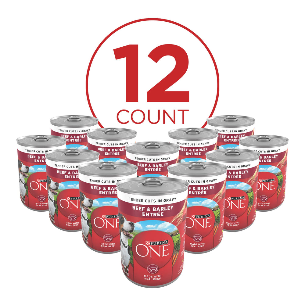Purina ONE, morceaux tendres boeuf et orge, texture agréable pour chien