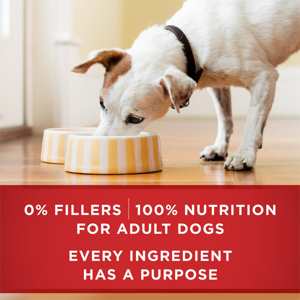 Purina ONE Nourriture humide poulet et riz brun, bouchées juteuses et savoureuses