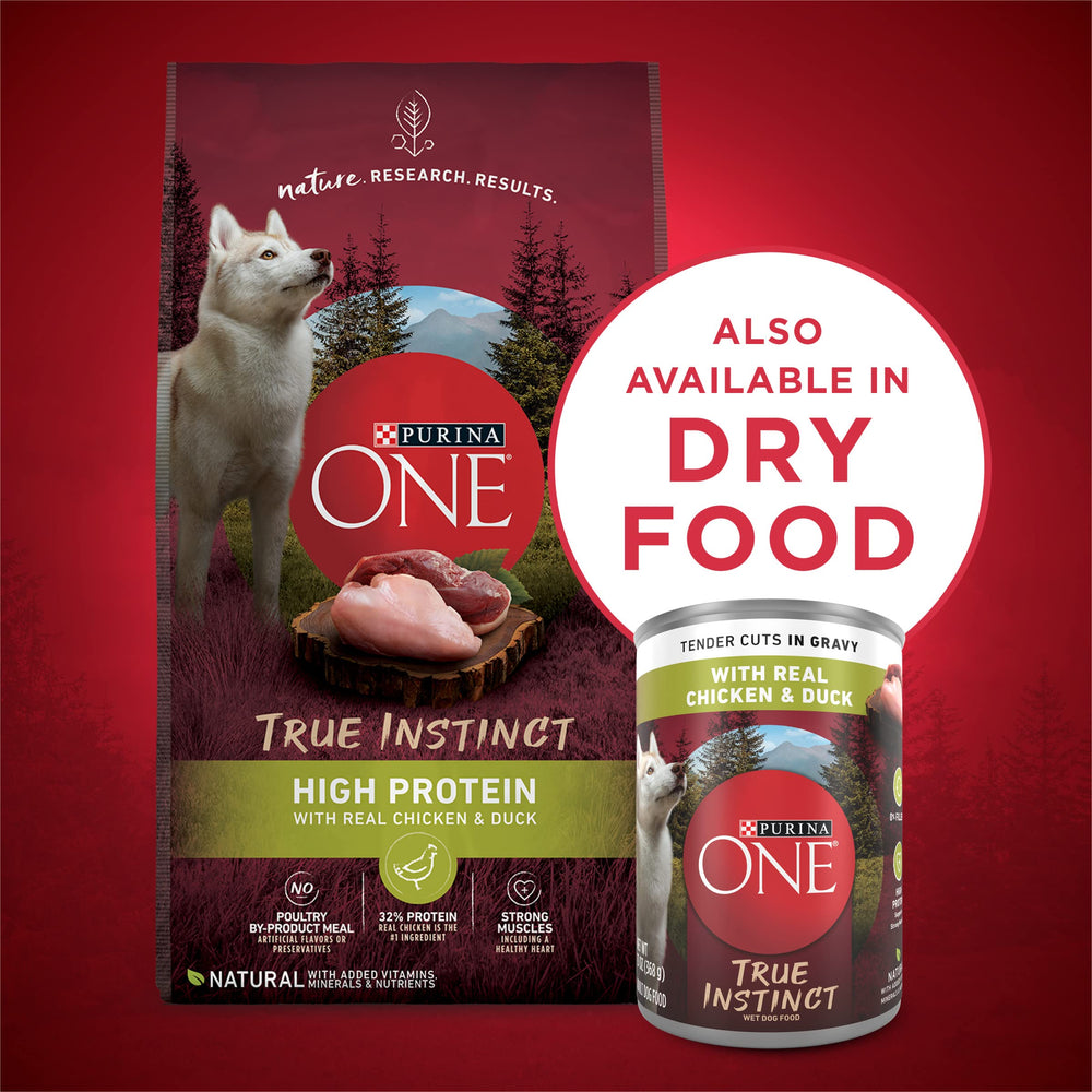 Purina ONE nutrition complète pour chien adulte, formule équilibrée