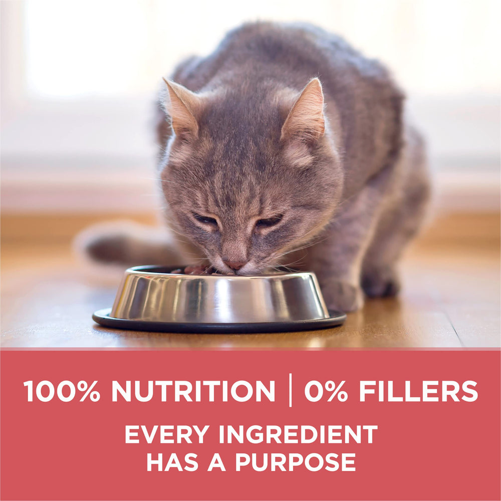 Purina ONE oméga-6 – pelage brillant et peau saine