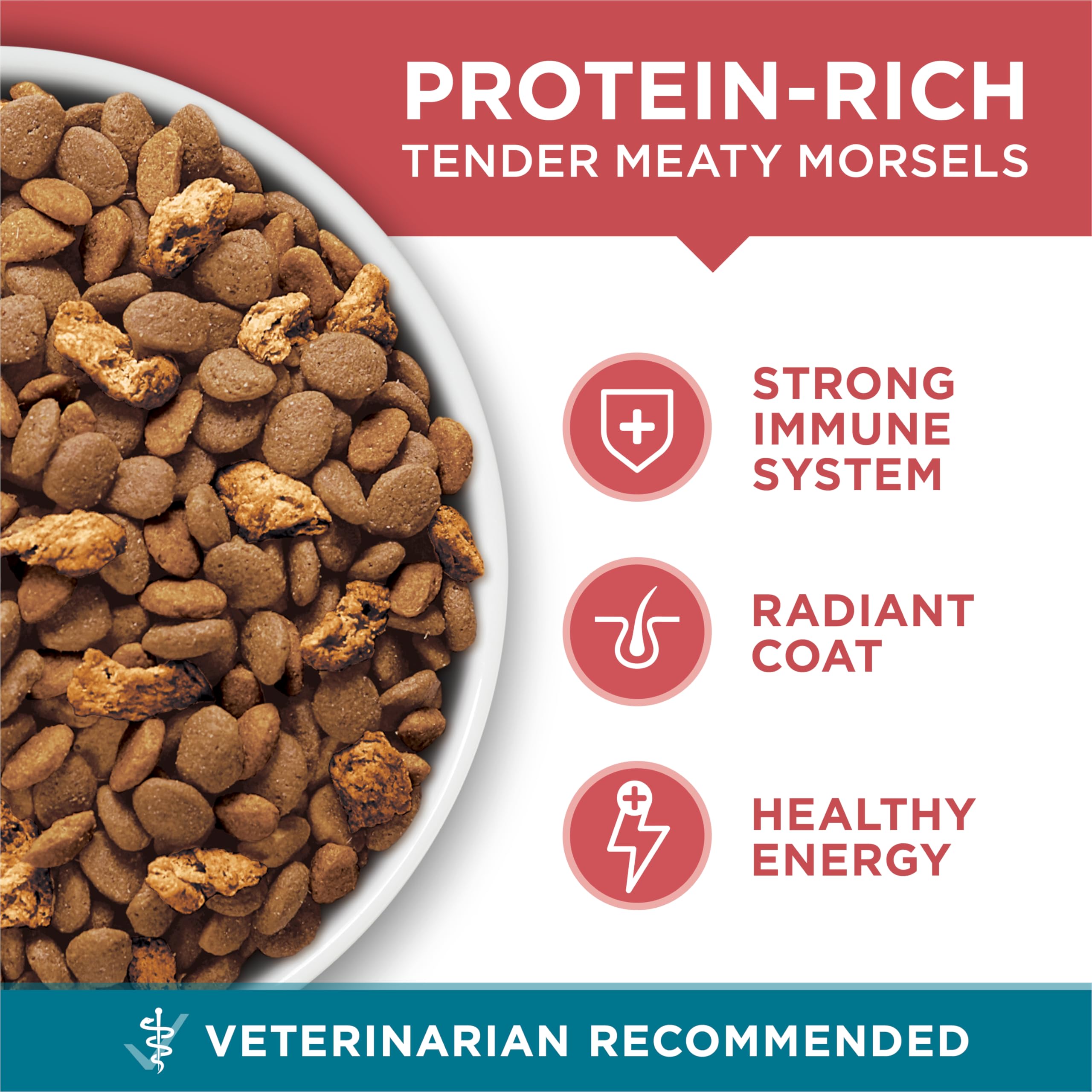 Purina ONE oméga6 – peau saine et pelage brillant.