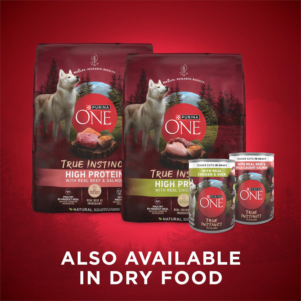 Purina ONE Pack 13oz, emballage pratique pour repas quotidien.