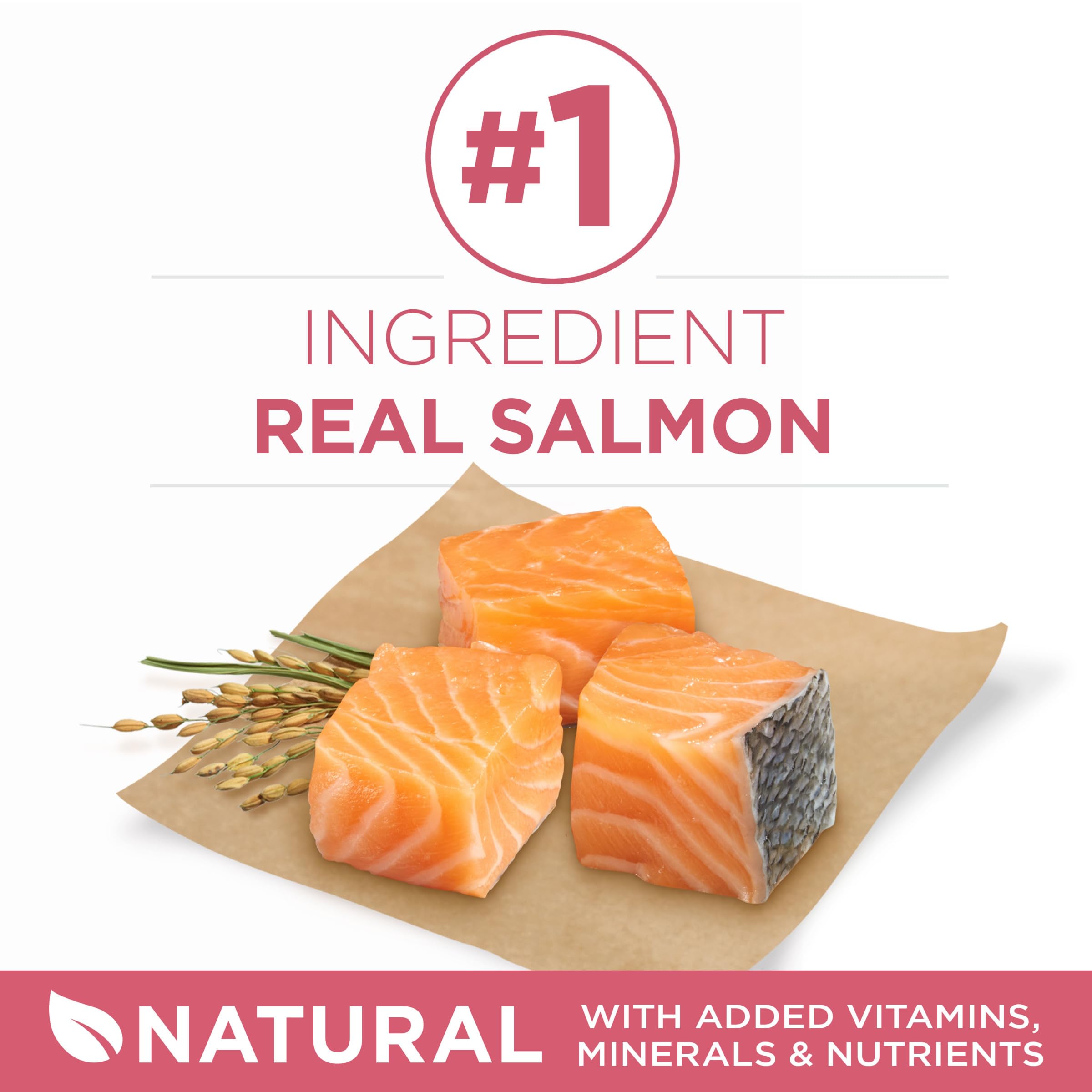 Purina ONE saumon peau et pelage sains grâce aux oméga-6