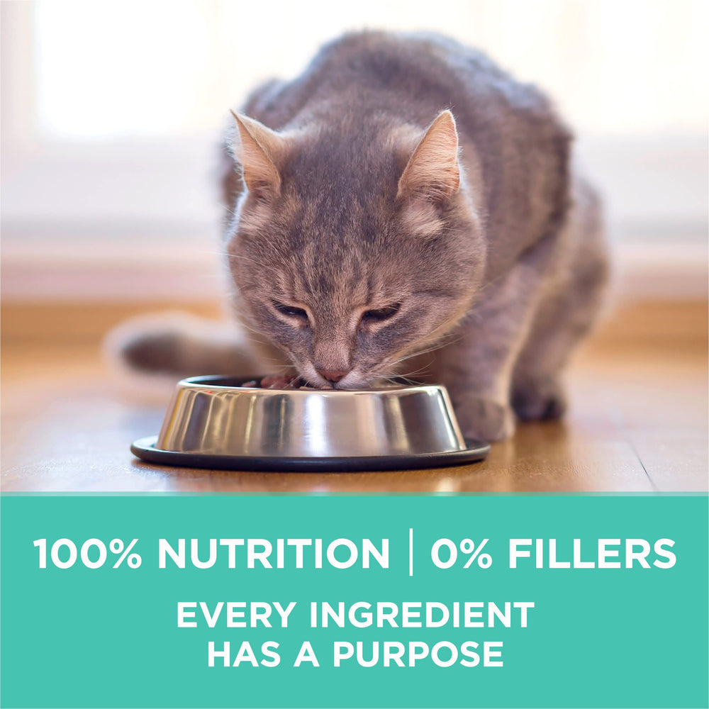 Purina ONE peau sensible - formulation adaptée pour pelage équilibré.