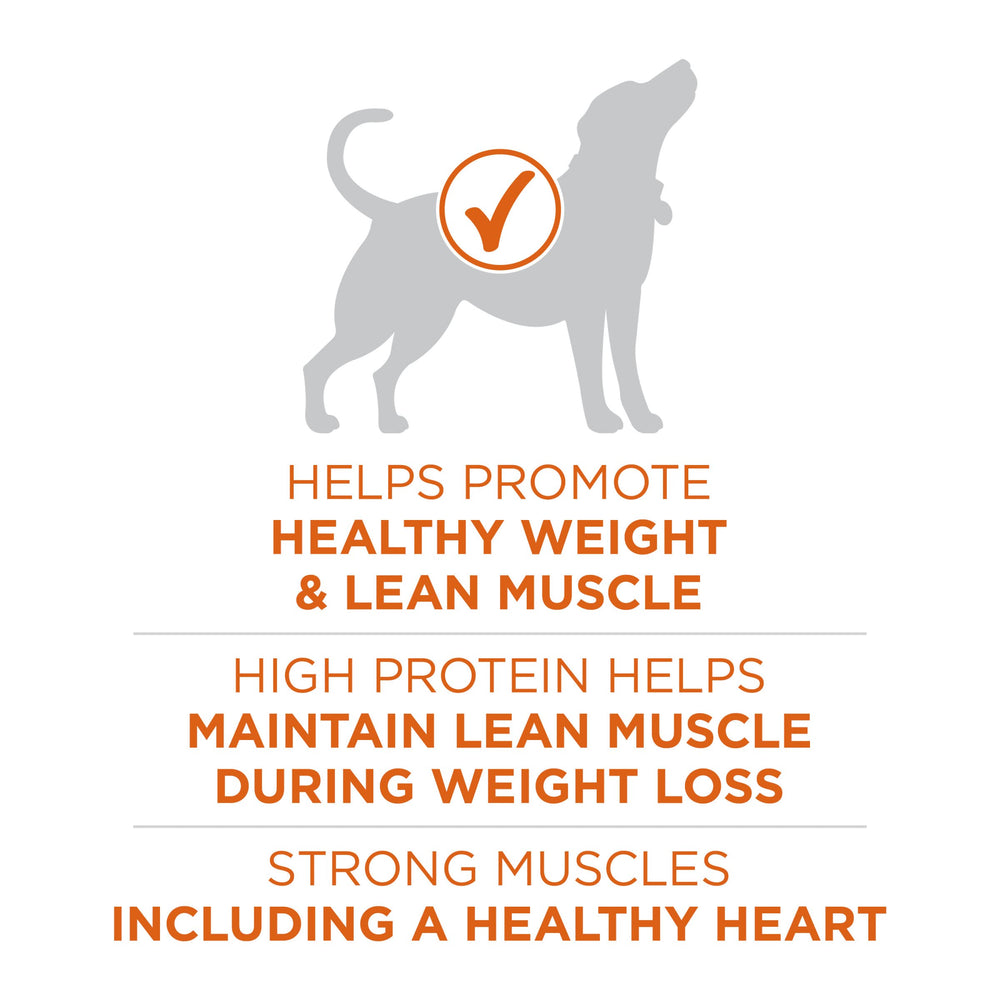 Purina ONE Plus Antioxydants Quatre Sources: repas équilibré et immunité potentielle.