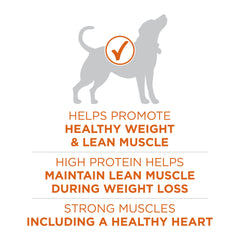 Purina ONE Plus Antioxydants Quatre Sources: repas équilibré et immunité potentielle.