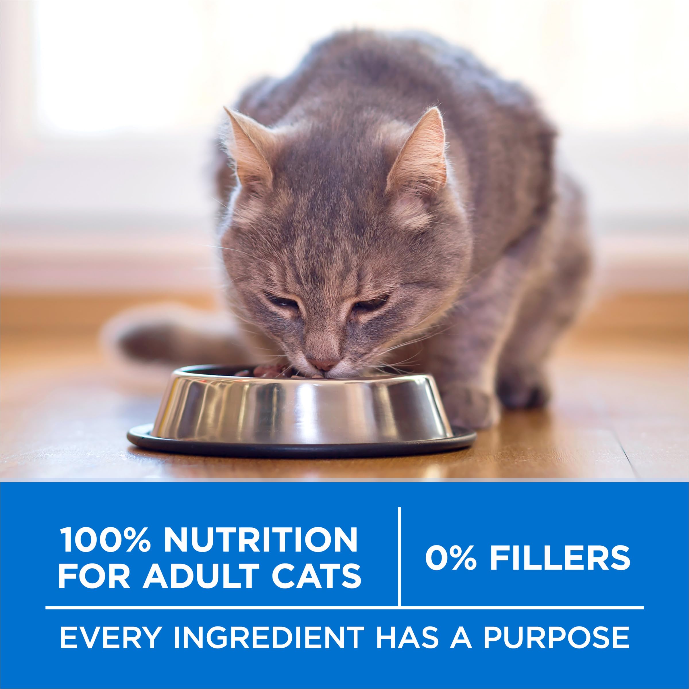 Purina ONE Plus arômes naturels pour chats adultes.