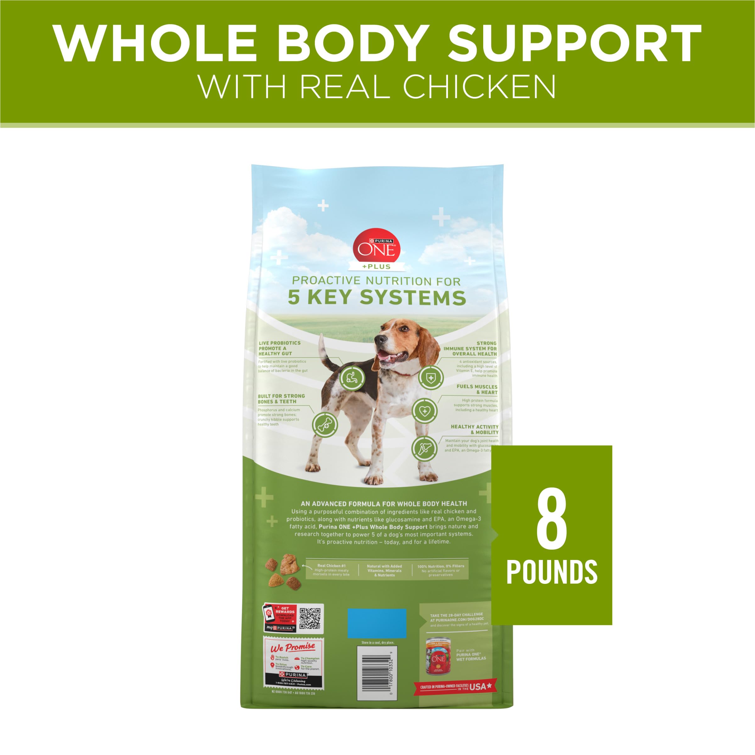 Purina ONE Plus Bol de chien avec croquettes sèches prêt à servir.
