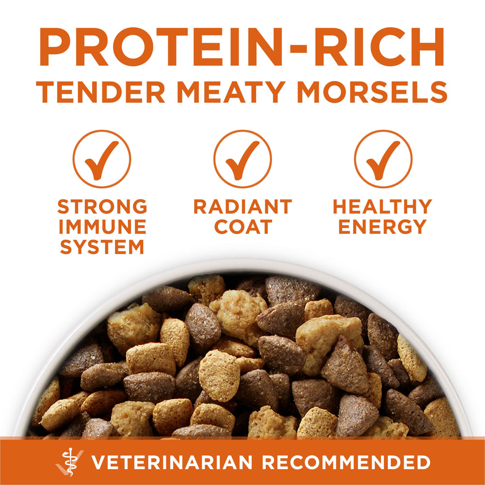 Purina ONE Plus Calcium: dents et gencives potentiellement renforcées.