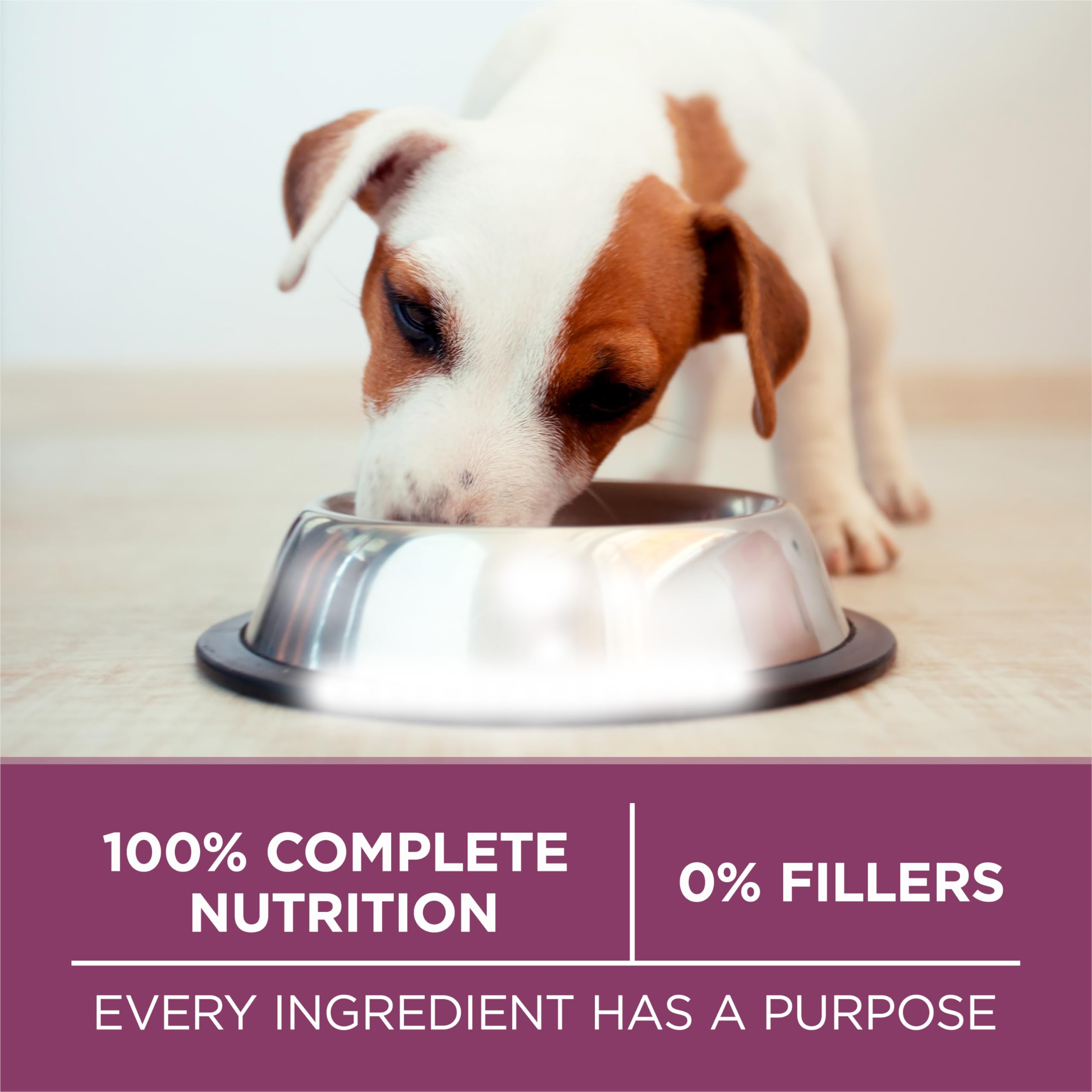 Aide potentielle à la santé dentaire avec les croquettes Purina ONE Plus.