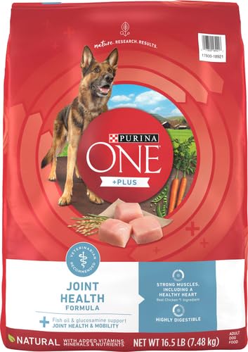 Purina ONE Plus croquettes crunchies, dents et gencives saines.