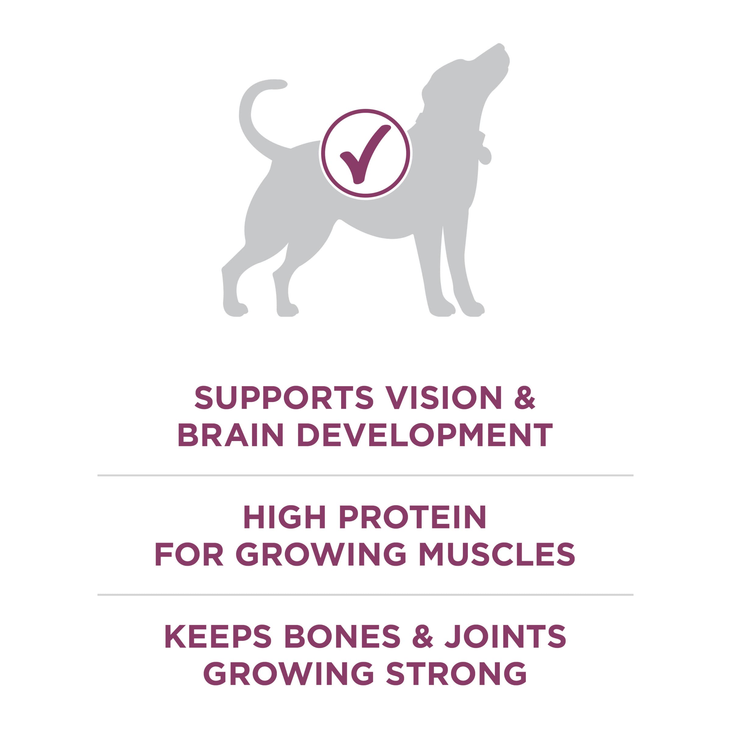 Glucosamine naturelle dans Purina ONE Plus, soutien potentiel des articulations en croissance.