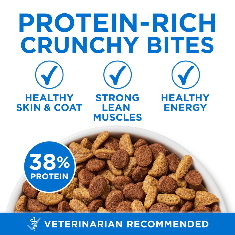 Croquettes croquantes Purina ONE Plus Haute Protéine au goût apprécié.