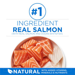Purina ONE Plus Haute Protéine saumon et poisson blanc: croquettes riches en protéines.