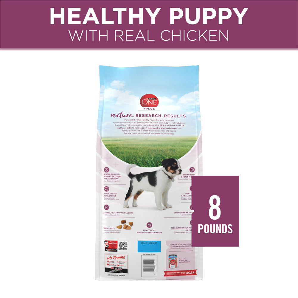 Purina ONE Plus haute protéine poulet, soutien muscles actifs.