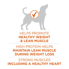 Purina ONE Plus morceaux tendres et croquettes – texture appréciée par le chien