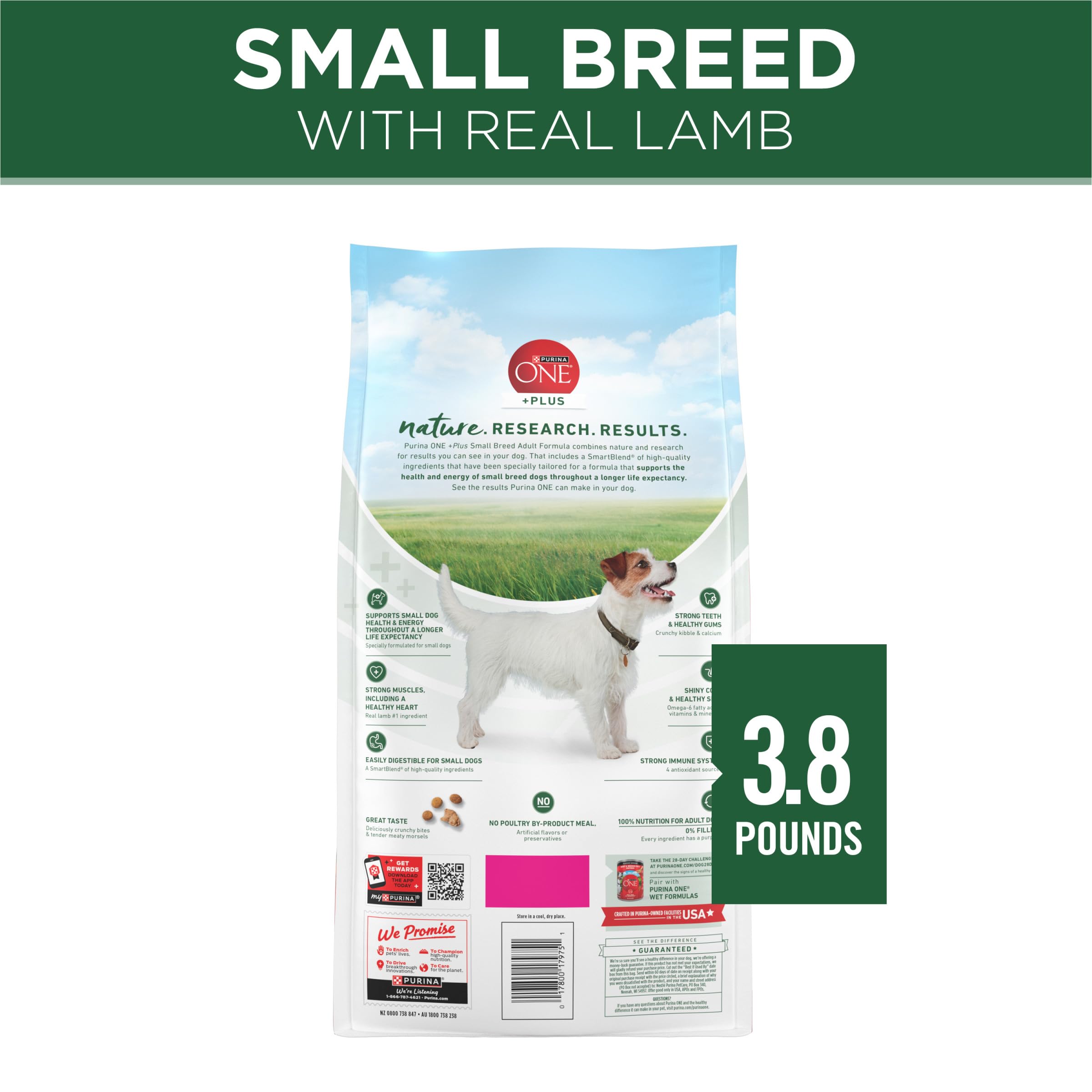 Dents et gencives saines grâce au calcium Purina ONE Plus