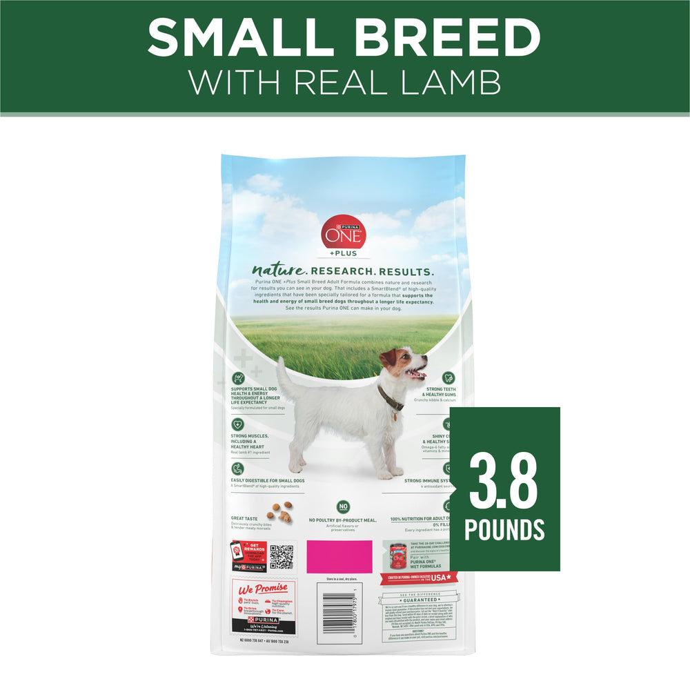 Dents et gencives saines grâce au calcium Purina ONE Plus