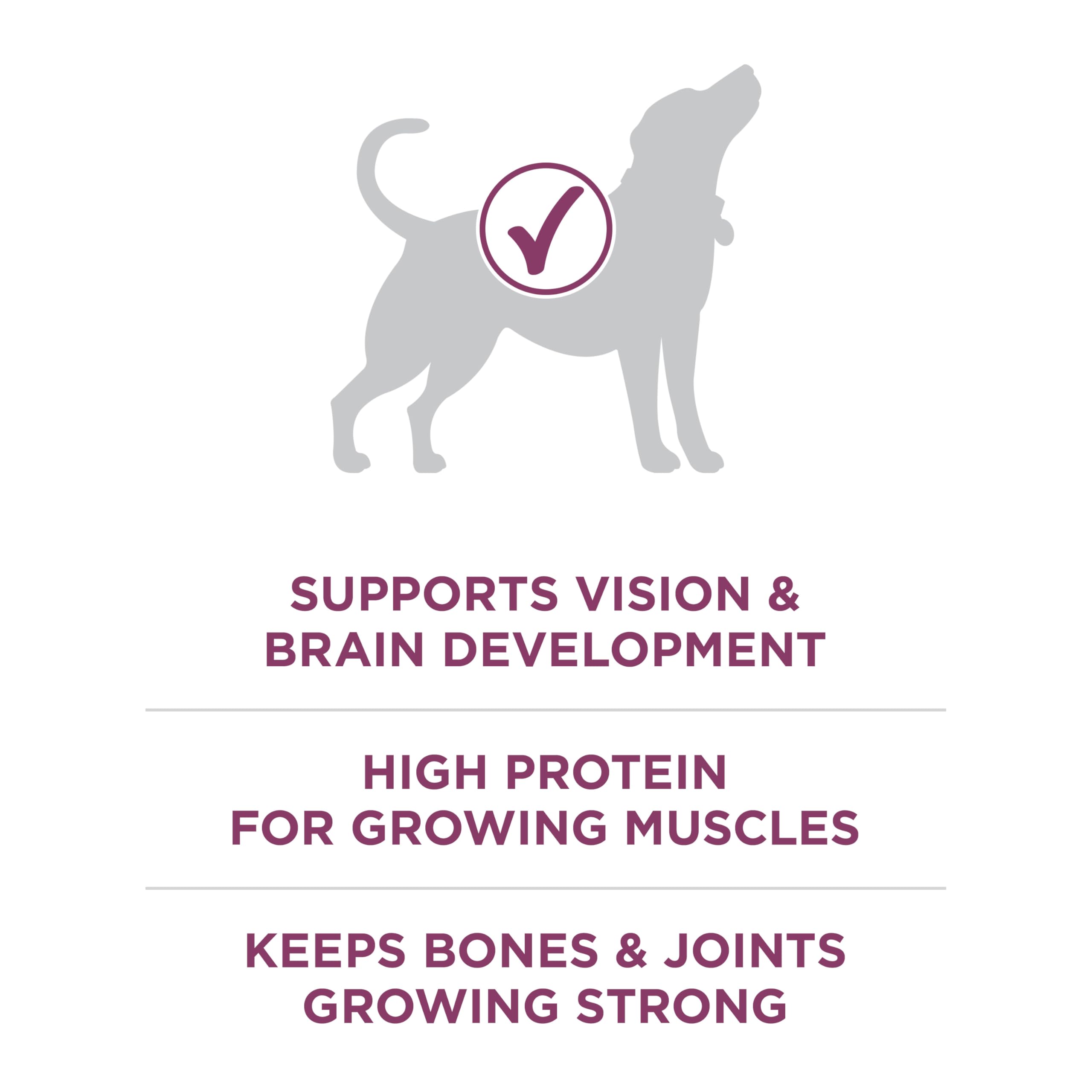 Purina ONE Plus premier ingrédient poulet, protéines pour muscles en croissance.