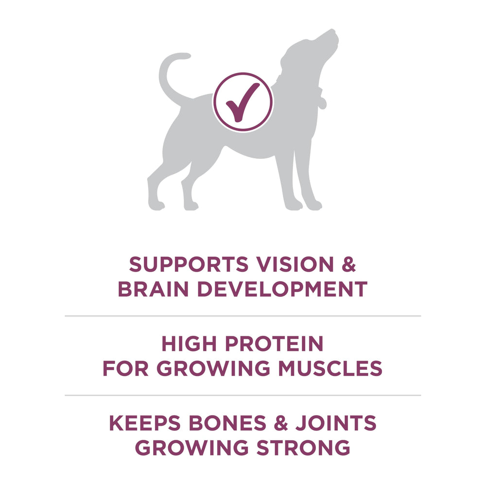 Purina ONE Plus premier ingrédient poulet, protéines pour muscles en croissance.