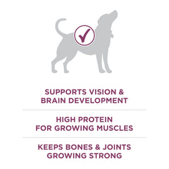 Purina ONE Plus premier ingrédient poulet, protéines pour muscles en croissance.