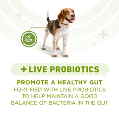 Purina ONE Plus probiotiques vivants pour digestion canine.