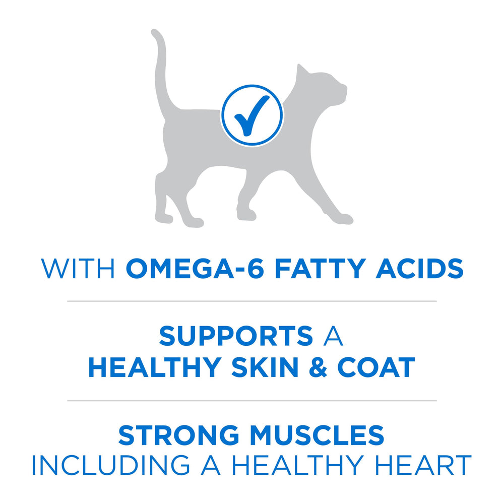 Purina ONE Plus 38% protéine, soutien musculaire pour le chat.