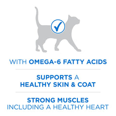Purina ONE Plus 38% protéine, soutien musculaire pour le chat.