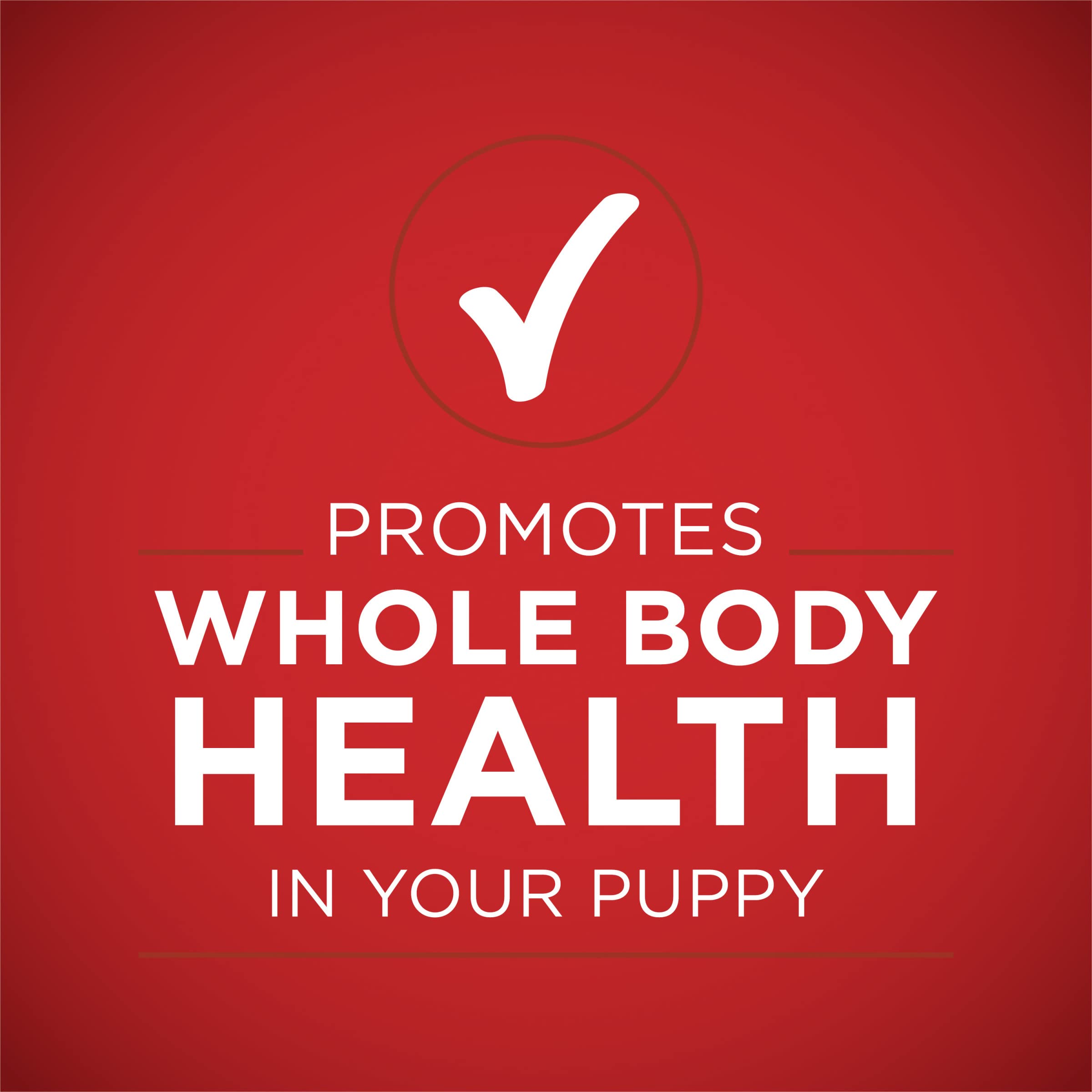Riz long grain dans Purina ONE Plus Puppy.