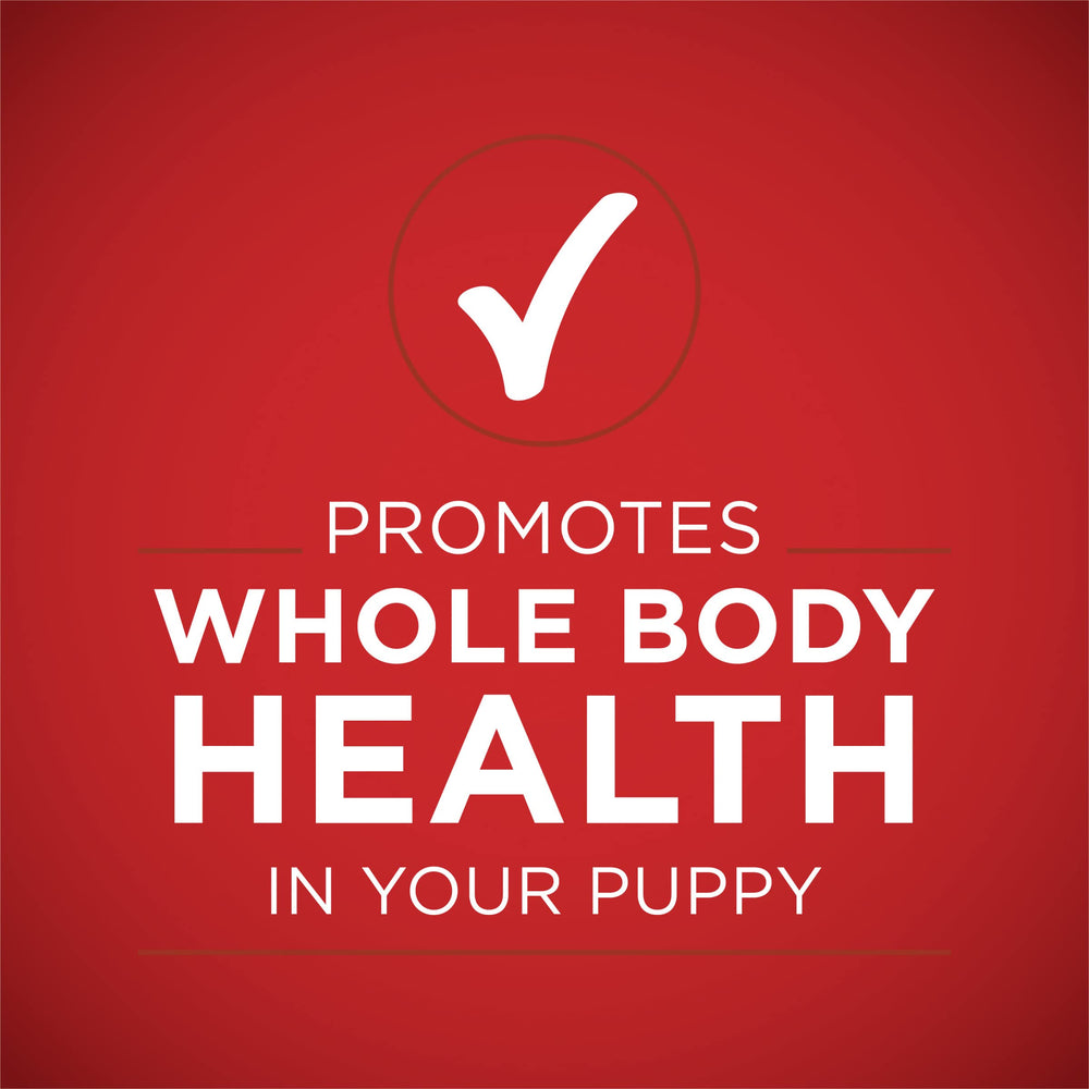 Riz long grain dans Purina ONE Plus Puppy.