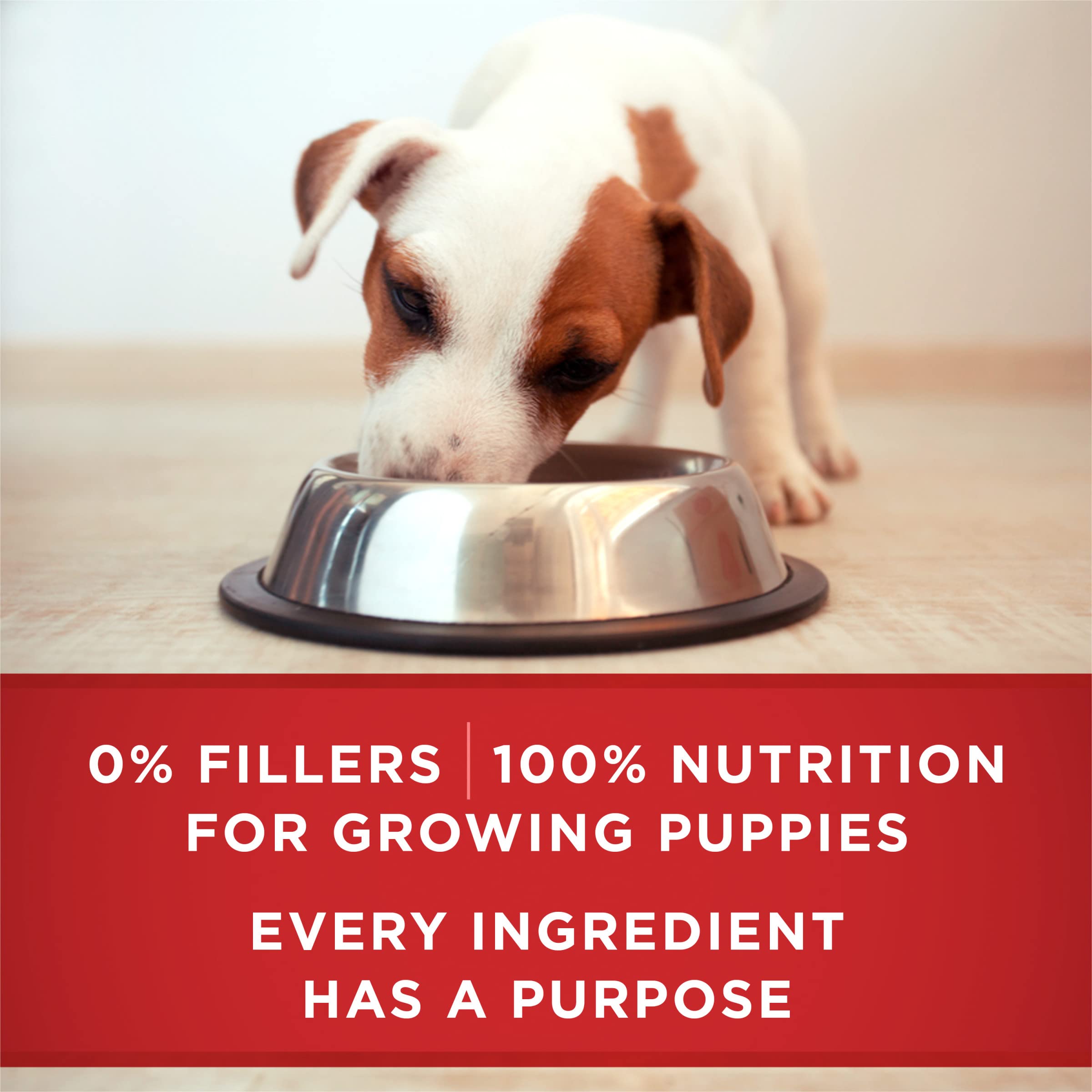 Sans abats animaux dans Purina ONE Plus Puppy.