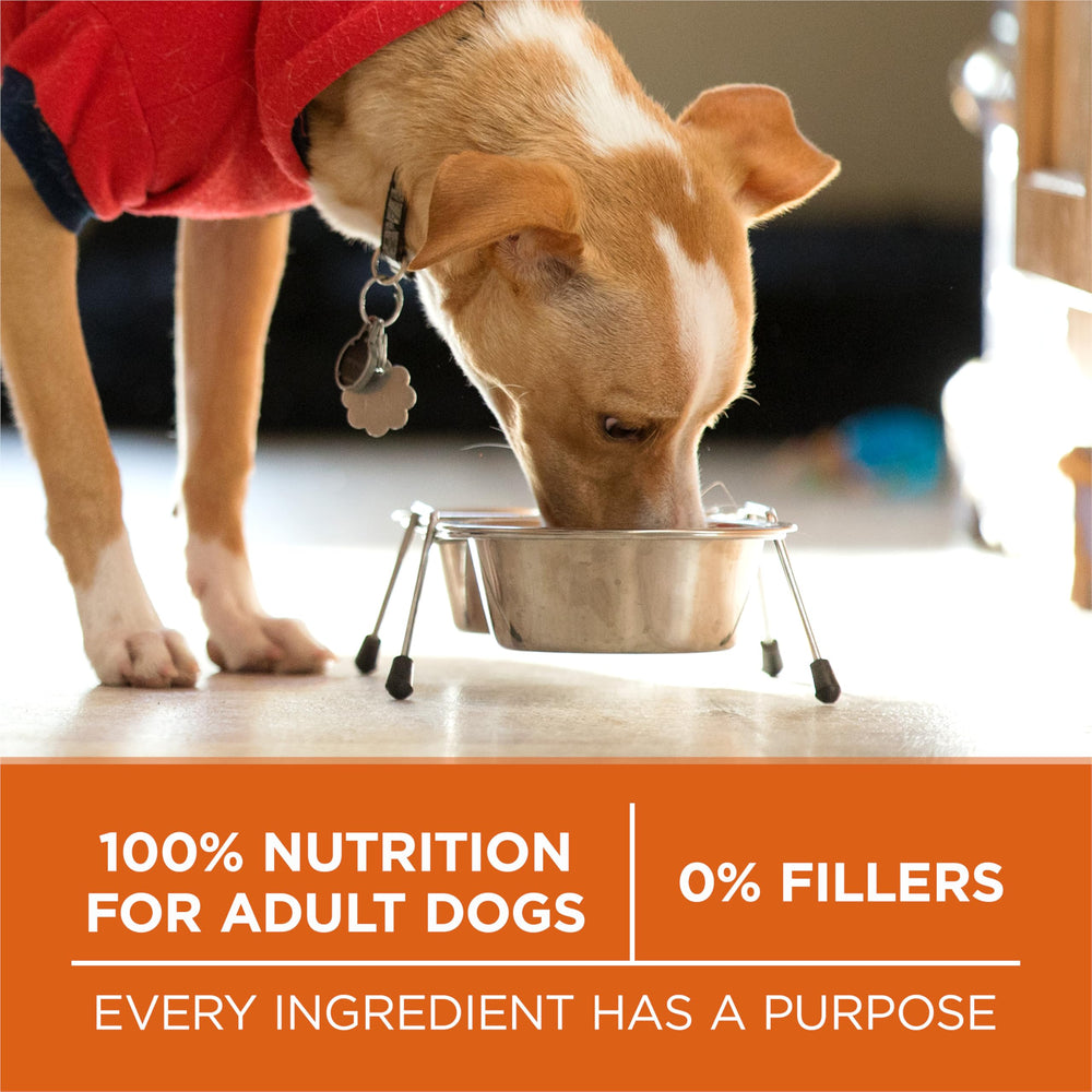 Purina ONE Plus sans arômes ni conservateurs artificiels – formule pure