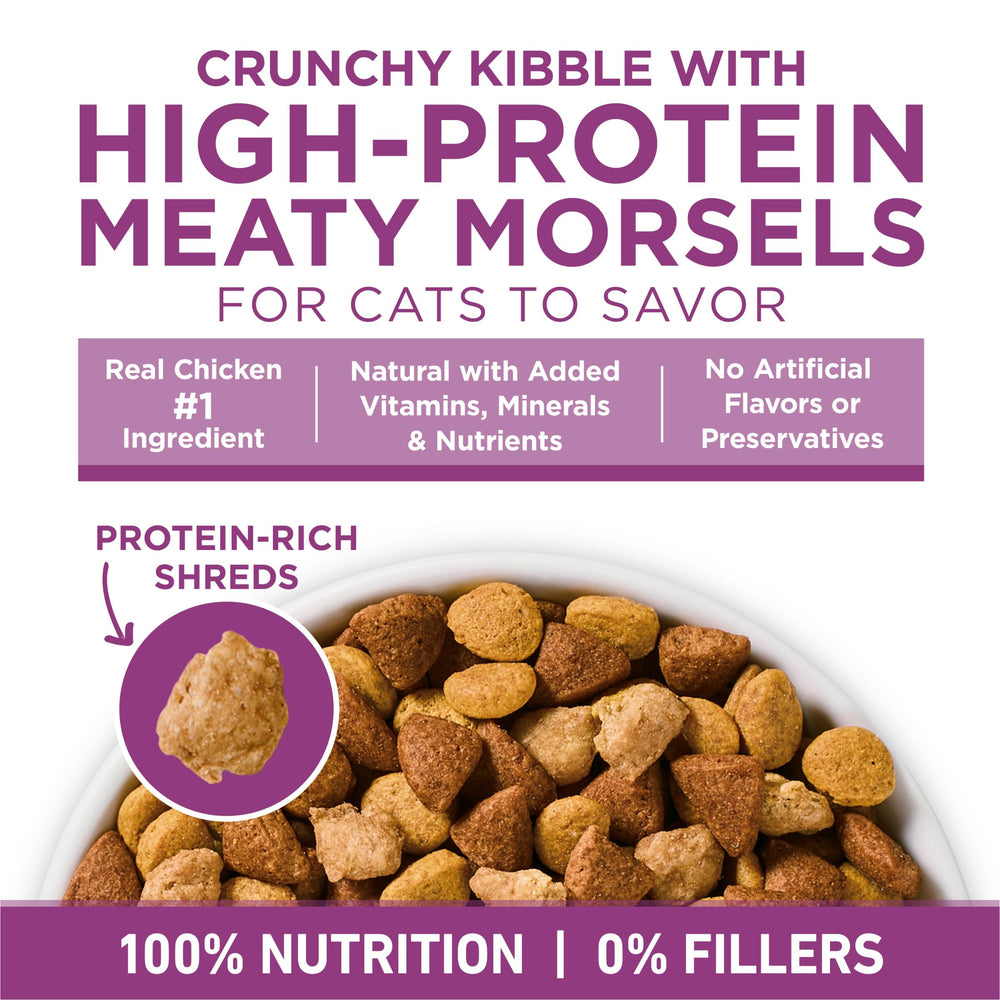 Purina ONE Plus taurine soutient le cœur et les muscles du chat