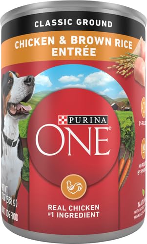 Purina ONE poulet et riz brun – bol rempli de croquettes pour alimentation quotidienne.