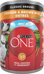 Purina ONE poulet et riz brun – bol rempli de croquettes pour alimentation quotidienne.