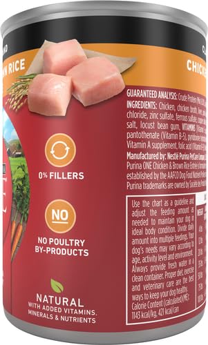 Purina ONE poulet et riz brun – emballage clair et informatif pour chien adulte.