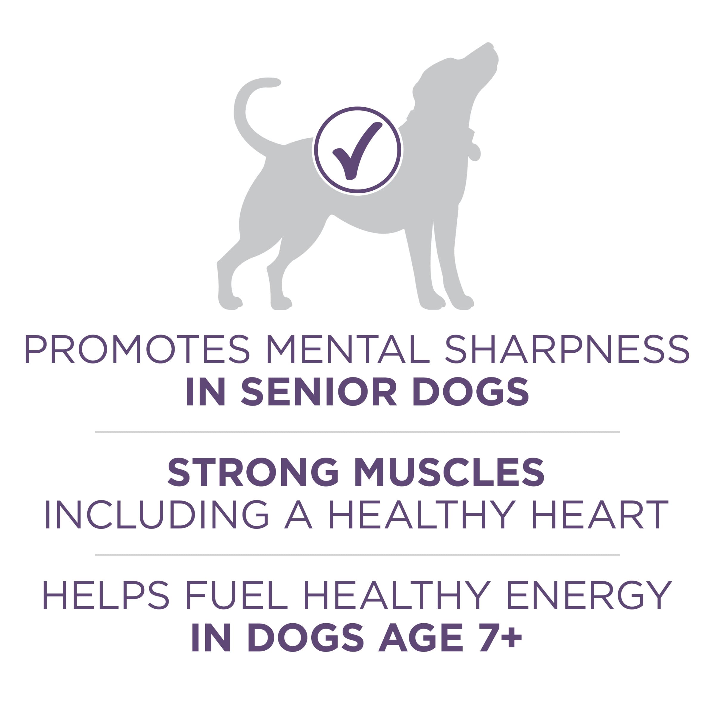Purina ONE — poulet comme premier ingrédient, muscles soutenus.
