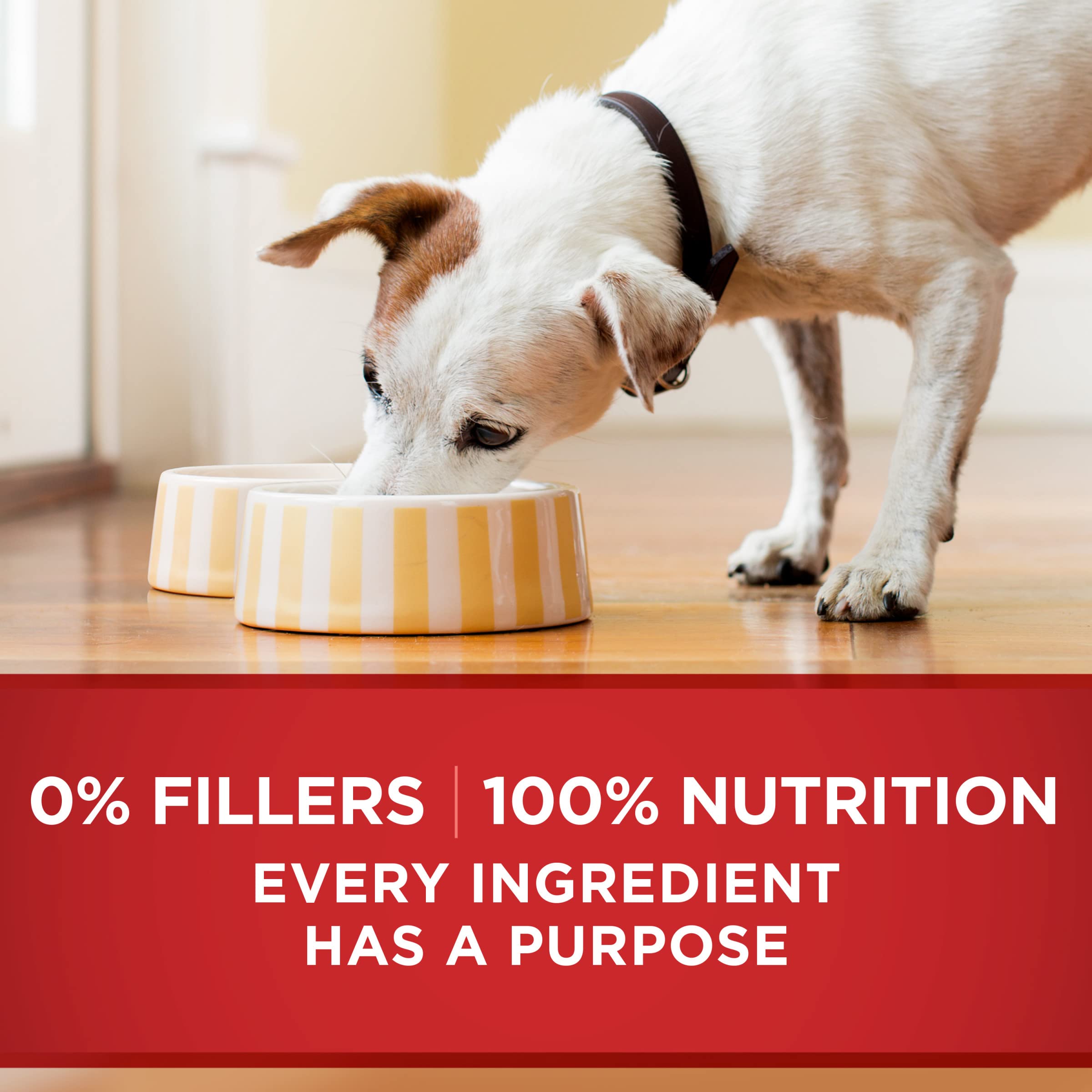 Purina ONE, protéines élevées pour soutenir les muscles du chien