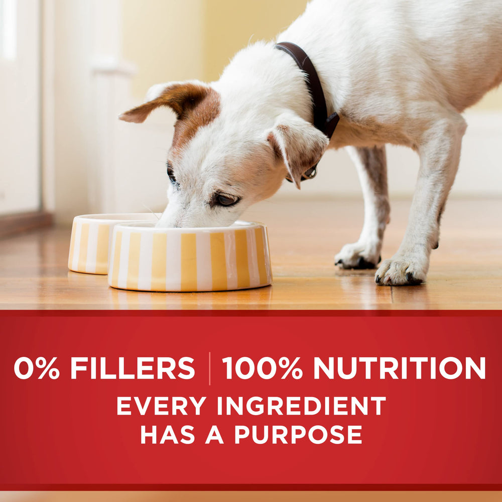 Purina ONE, protéines élevées pour soutenir les muscles du chien