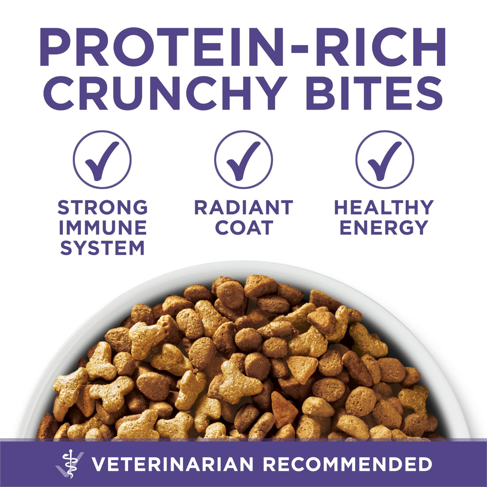Purina ONE – quatre antioxydants pour soutenir l’immunité.