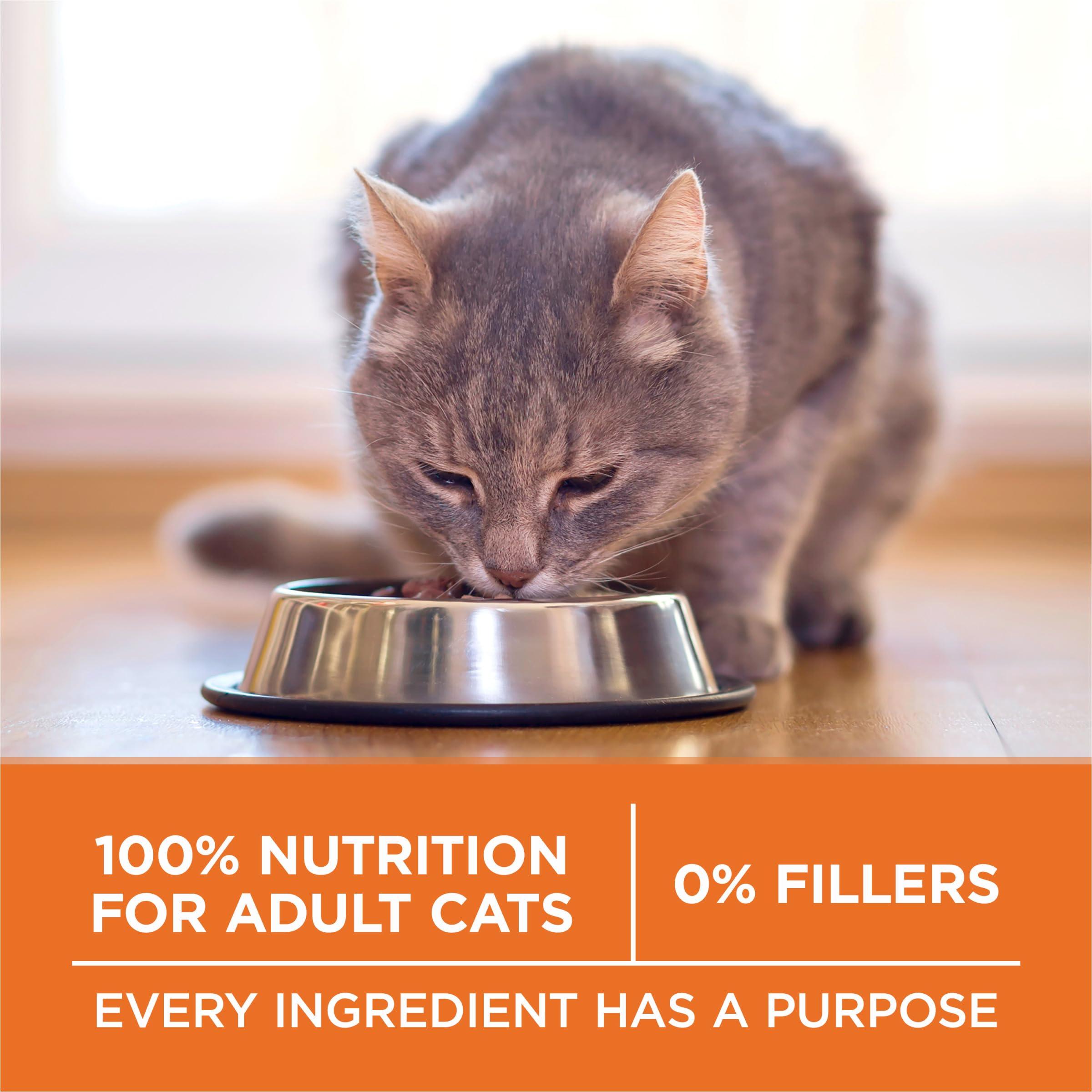 Recommandé par les vétérinaires, Purina ONE assure une alimentation complète.
