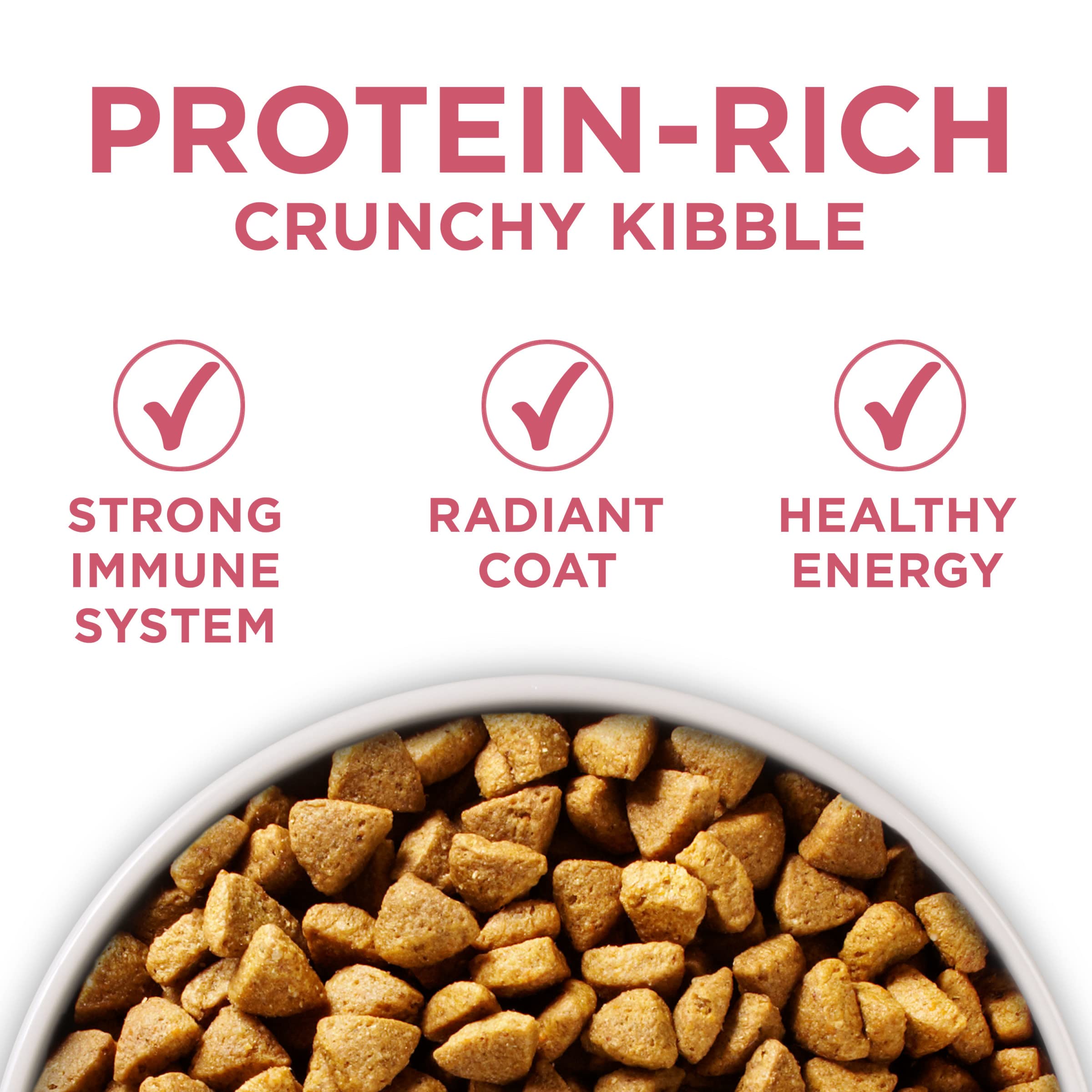 Purina One rituel repas: moment sain et régulier pour chien