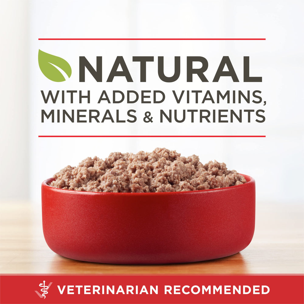 Purina ONE sans céréales, pâté humide sans céréales pour chien